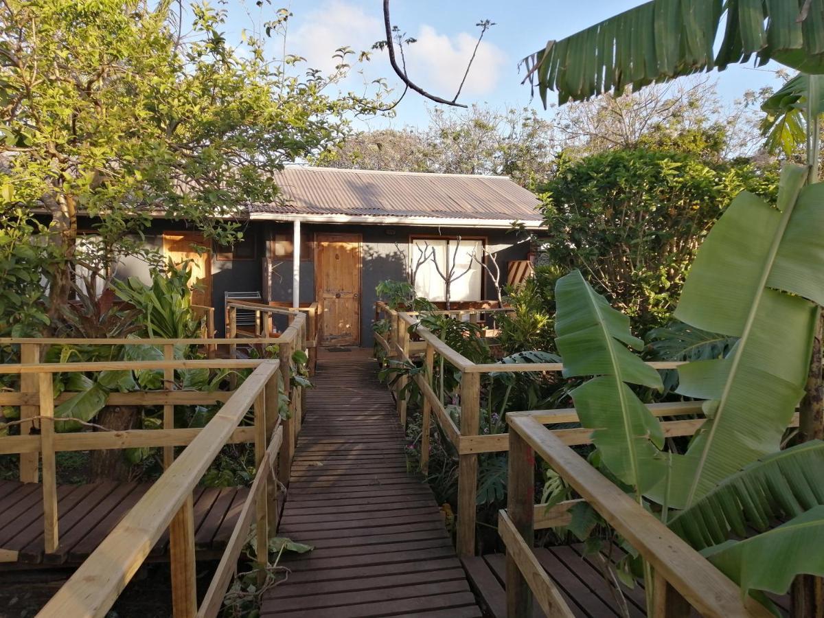 Tuava Lodge Ханга Роа Екстериор снимка